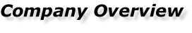 Company Overview